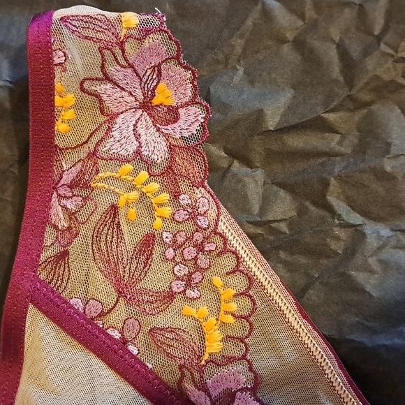 🇨🇦 La Senza ✨️NWT✨️ Size S Bikini Panties, Cream/Purple Floral Embroidery - Picture 5 of 5